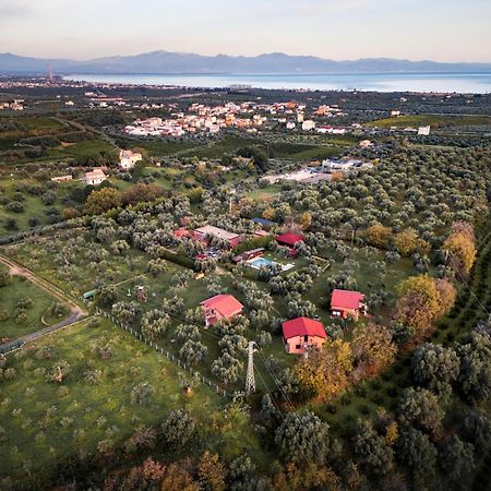 Bed and Breakfast La Piana Degli Ulivi Rossano Zewnętrze zdjęcie
