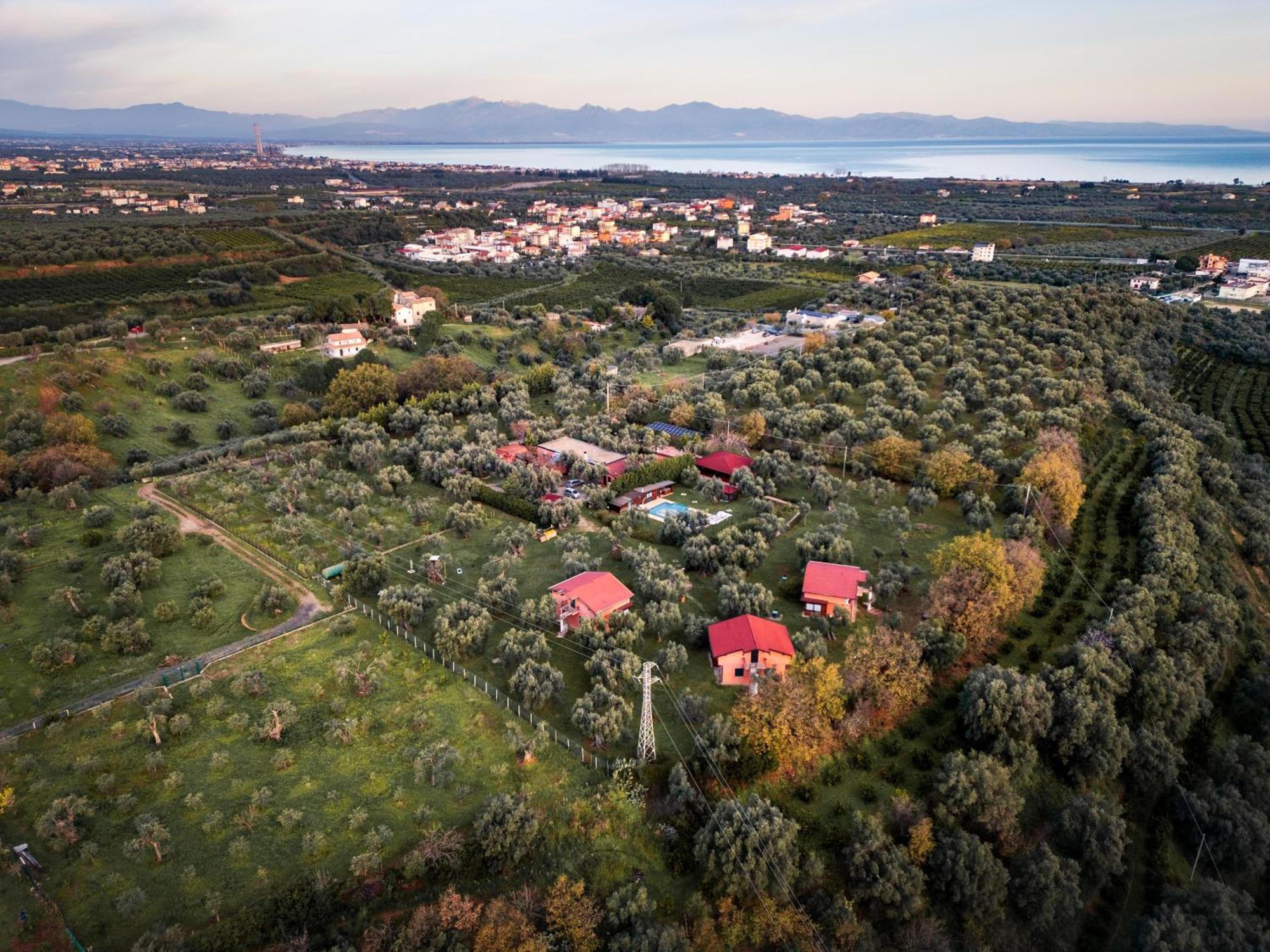 Bed and Breakfast La Piana Degli Ulivi Rossano Zewnętrze zdjęcie