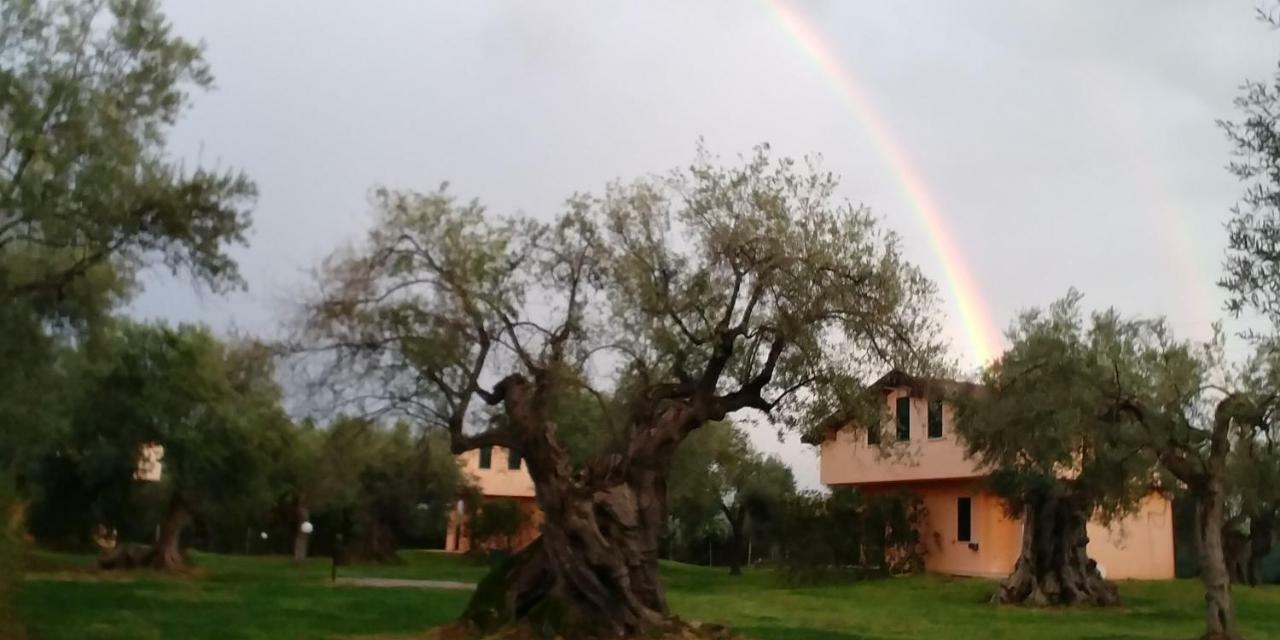 Bed and Breakfast La Piana Degli Ulivi Rossano Zewnętrze zdjęcie